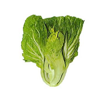 Gai Choy ($3.50 a Bunch)