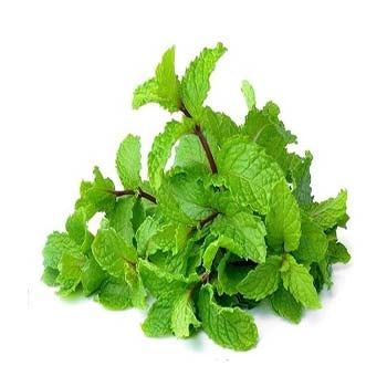 Mint ($2.50 a Bunch)