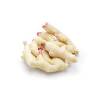 YOUNG GINGER (per 100g)
