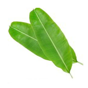 Banana Leaves (1 No)