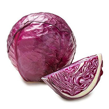 Cabbage Purple Full ($7.00 Each)