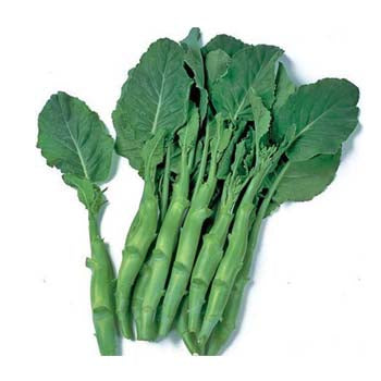 Chinese Broccoli ($3.50 a Bunch)