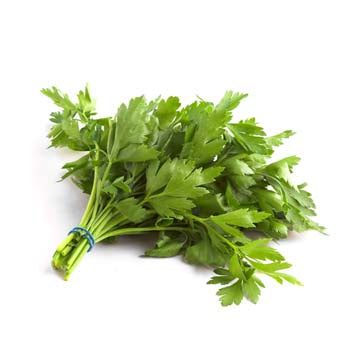 Continental Parsley ($3.50 a Bunch)