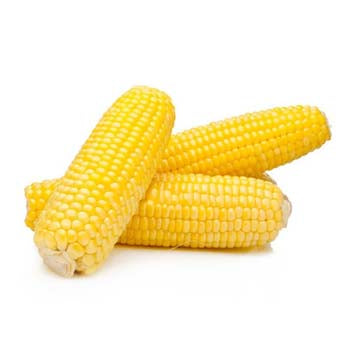 CORN YELLOW (3 pieces per pack)