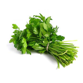 Coriander ($2.00 a Bunch)