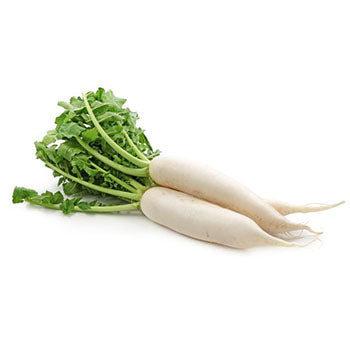 Daikon White/Radish ($4.50 a Kg)