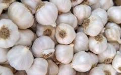 Dry Garlic ($3.50 a bag)