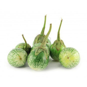 Small Eggplant Thai ($9.50 a kg)