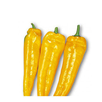 YELLOW SWEET CHILLI (per 100g)