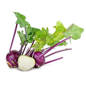 Kohlrabi Purple ($4.50 Each)