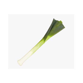 Leek ($2.50 a Piece)