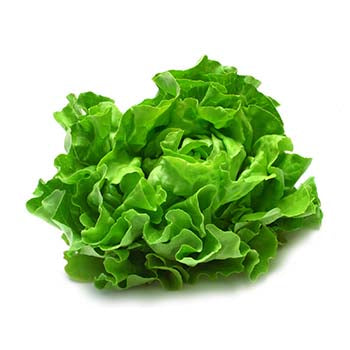 Lettuce/Iceberg ($3.50 Each)