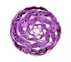 Cabbage Purple Half ($4.00 Each)