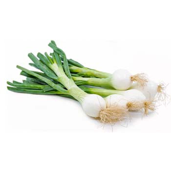 Spring Onion ($2.00 a Bunch)