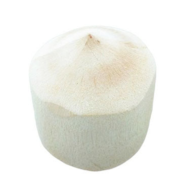 TENDER COCONUT (each)